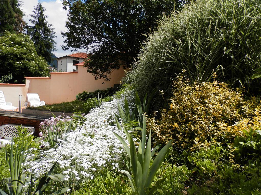 Guest House Zora Belogradchik Luaran gambar